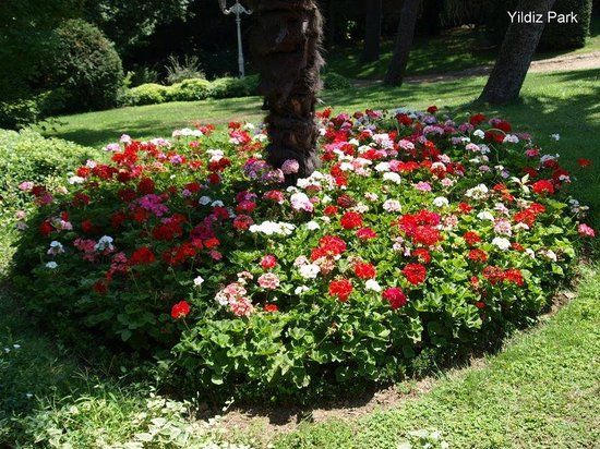 Parco Yıldız